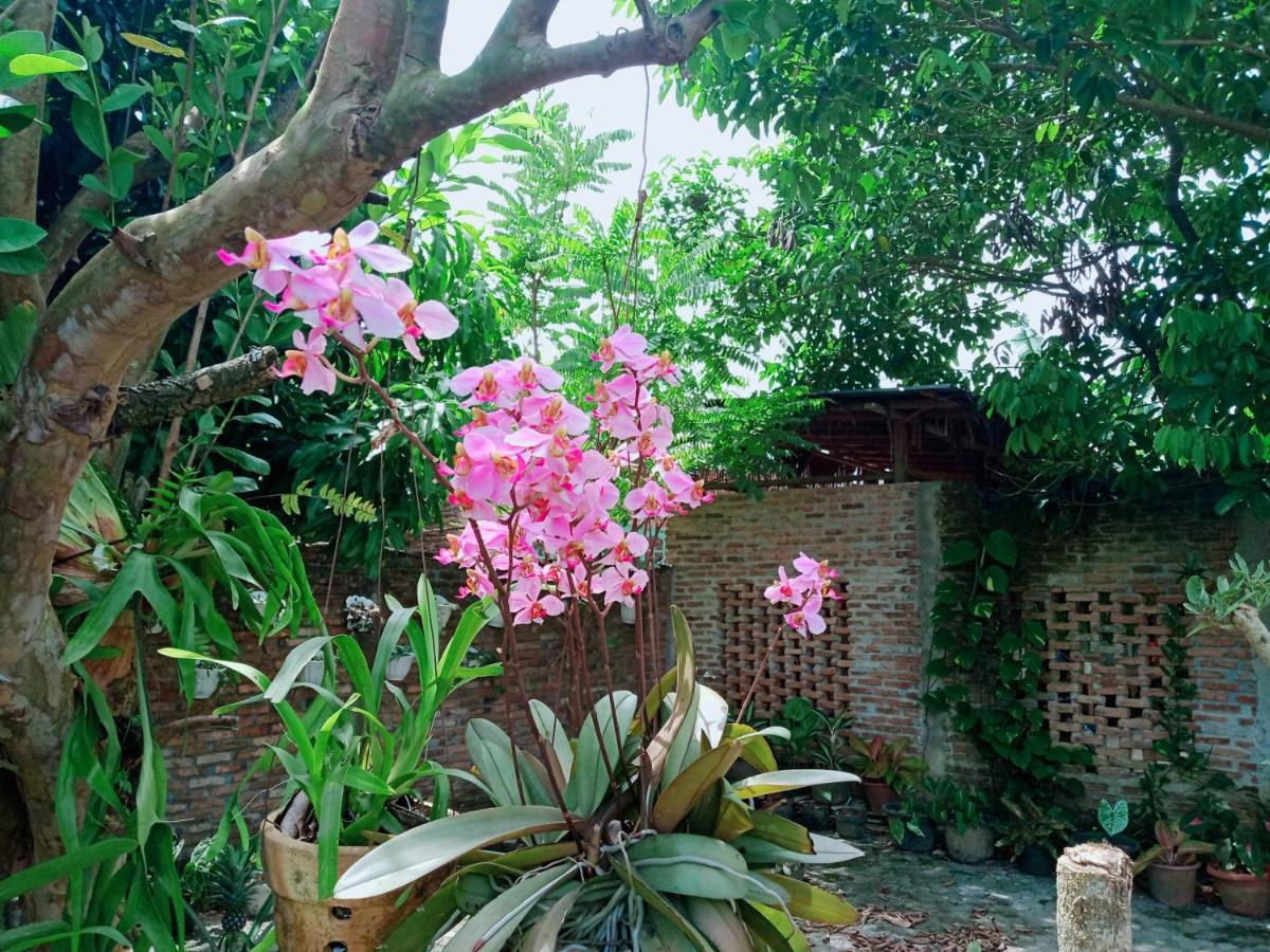 Bua Guest House Medan Luaran gambar