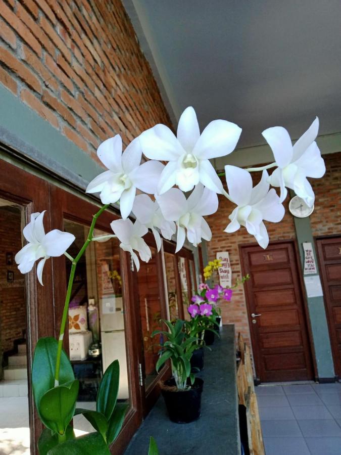 Bua Guest House Medan Luaran gambar