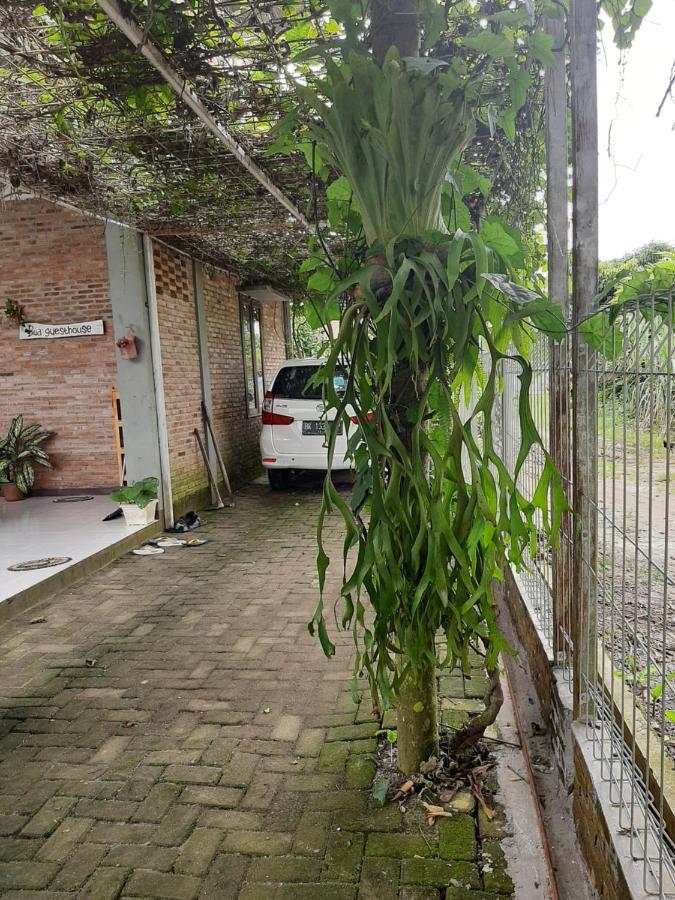 Bua Guest House Medan Luaran gambar