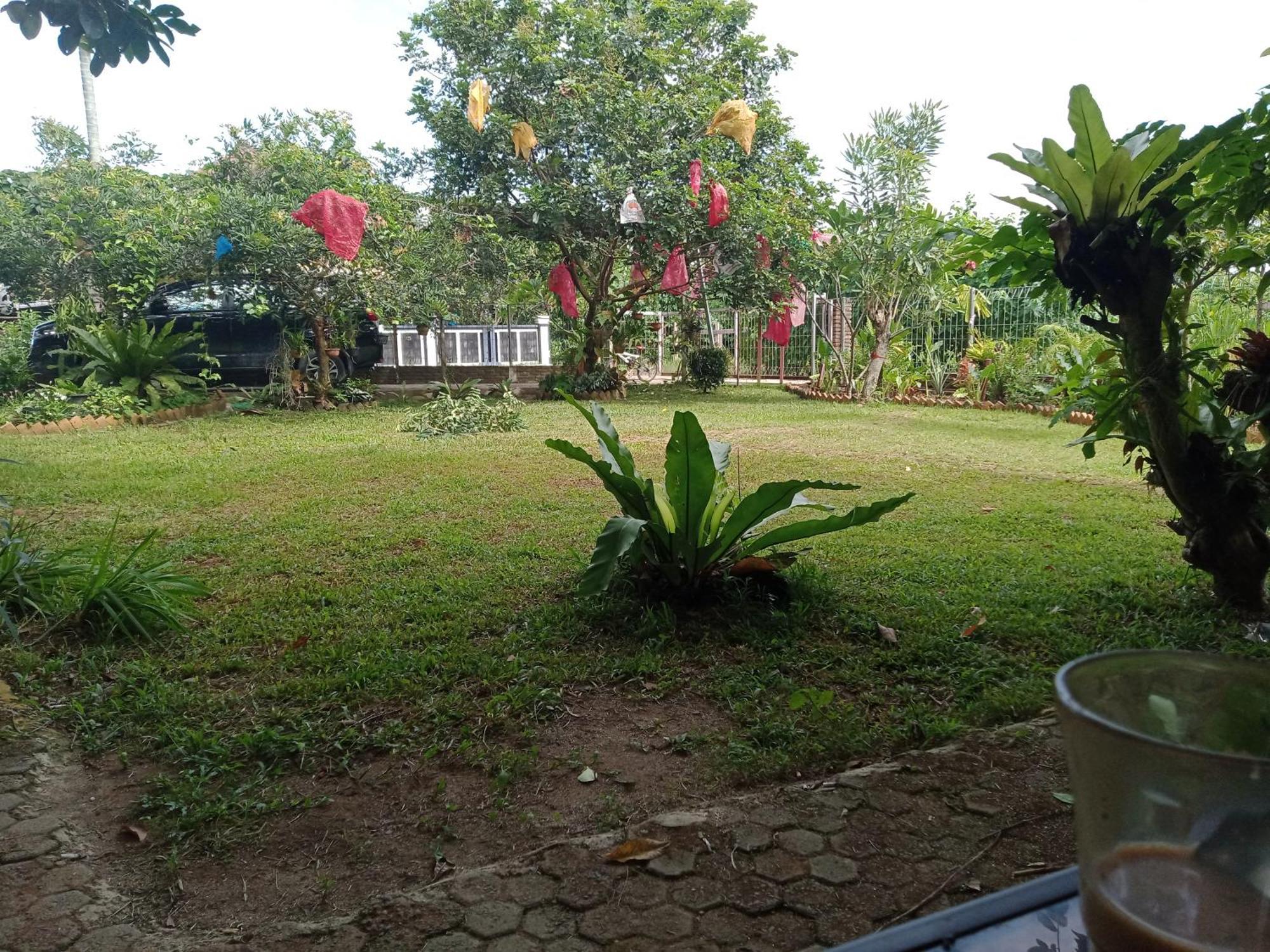 Bua Guest House Medan Luaran gambar
